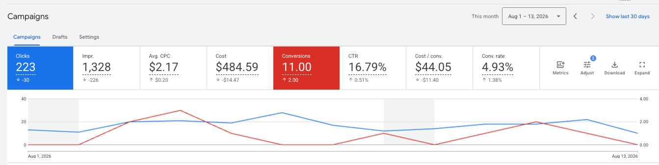 Google Ads campaign performance dashboard showing 223 clicks, 11 conversions, a 16.79% click-through rate and $44.05 cost per conversion for an Omaha counseling practice